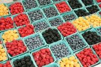 Loaded with antioxidants, fiber and phytonutrients, berries are a super food.
