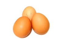 Yolks contain most of the egg’s nutrients, including minerals and vitamins. They are rich in protein.