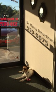 Laci greeting people at the door.